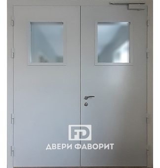 двустворчатая стальная дверь с доводчиком, окрас цинкогрунт, два стекла